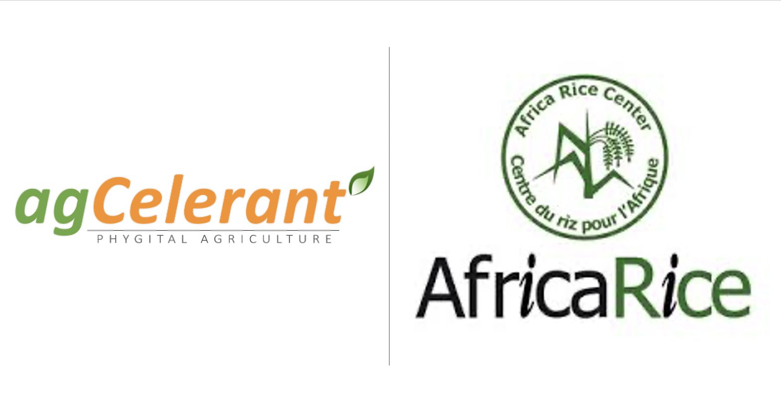 Manobi Africa and Africa Rice engage with agCelerant™ to transform rice