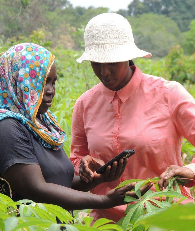 cropped-Tanzanian-cassava-farmer.jpg